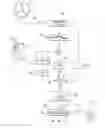 Fig. 01 - Method for Controlling the Steering Angle of the Vehicle Guiding Wheels
