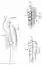 Fig. 08 - Method and system for enhanced orthodontic treatment planning