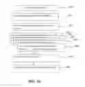 Fig. 09 - SYSTEMS, METHODS AND APPARATUS FOR VALUATION AND TAILORING OF ADVERTISING