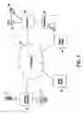 Fig. 02 - System and method for the transformation and canonicalization of semantically structured data