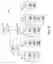 Fig. 33 - System and method for the transformation and canonicalization of semantically structured data