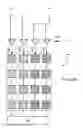 Fig. 09 - Dynamically reconfigurable shared scan-in test architecture