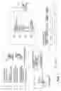 Fig. 06 - Device And Method For Publishing Multimedia Contents By Rendering Them Accessible To The Public