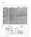 Fig. 07 - Methods for the identification of agents that inhibit mesenchymal-like tumor cells or their formation