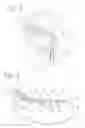 Fig. 02 - Eye protectors