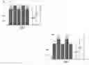 Fig. 06 - Toothbrush bristle arrangement