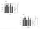 Fig. 07 - Toothbrush bristle arrangement