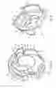 Fig. 05 - Cleaning appliance