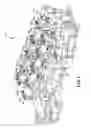 Fig. 02 - Cam bearing surface of an engine cylinder head that includes an axially extending oil passage