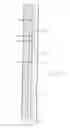 Fig. 02 - Growth chart device