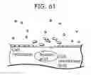 Fig. 64 - REFRIGERATOR