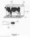 Fig. 02 - Method and a System for Measuring an Animal's Height