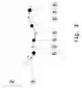 Fig. 04 - Method for the manufacture of an ejector nozzle tube
