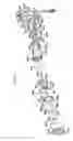 Fig. 15 - Safety device with fall arrest and descending modes