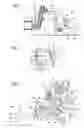 Fig. 02 - Portable handheld work apparatus