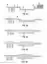Fig. 06 - Plating methods for low aspect ratio cavities