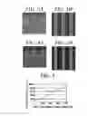 Fig. 04 - PLASMA ETCHING METHOD, PLASMA ETCHING APPARATUS AND COMPUTER-READABLE STORAGE MEDIUM