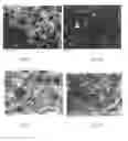 Fig. 02 - Method of environmentally friendly melting and refining of a glass melt for a crystallizable glass of a lithium aluminium silicate (LAS) glass ceramic