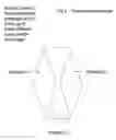 Fig. 04 - Three partitioned liquor container