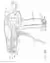 Fig. 09 - Pneumatically powered surgical cutting and fastening instrument with a variable control of the actuating rate of firing with mechanical power assist