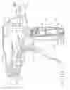 Fig. 22 - Pneumatically powered surgical cutting and fastening instrument with a variable control of the actuating rate of firing with mechanical power assist