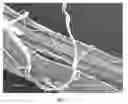 Fig. 08 - Method of making hydrophilic fluoropolymer material