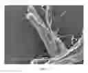 Fig. 09 - Method of making hydrophilic fluoropolymer material