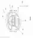Fig. 06 - AERIAL VEHICLE