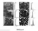 Fig. 02 - Superparamagnetic colloidal photonic structures