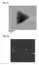 Fig. 07 - Epitaxially coated silicon wafer and method for producing an epitaxially coated silicon wafer