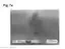 Fig. 08 - Epitaxially coated silicon wafer and method for producing an epitaxially coated silicon wafer