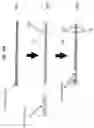 Fig. 16 - Leadless integrated circuit package having standoff contacts and die attach pad