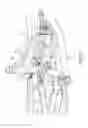 Fig. 04 - Bicycle frame with articulating linkage mounting arrangement