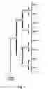 Fig. 02 - Antenna arrangement