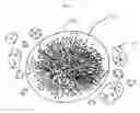 Fig. 07 - Networks for Organic Reactions and Compounds