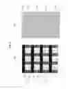 Fig. 06 - Display device