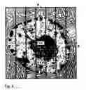 Fig. 05 - Configuration of a laser scanning microscope for raster image correlation spectroscopy measurement and method for conducting and evaluating such a measurement