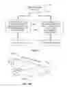 Fig. 05 - Orthogonality corrections for different scanning directions