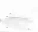 Fig. 01 - COMPUTER WRIST REST FOR NOTEBOOK COMPUTERS