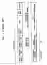 Fig. 02 - METHOD OF DETERMINING TRANSMISSION RATE OF CONTROL RESPONSE FRAME FOR ACKNOWLEDGING DATA RECEIPT IN WIRELESS LAN
