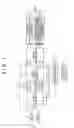 Fig. 02 - Audio apparatus and audio processing method