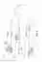 Fig. 10 - Method of image processing