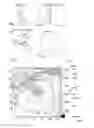 Fig. 02 - Method of bioimage data processing for revealing more meaningful anatomic features of diseased tissues
