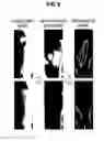 Fig. 09 - VEIN PATTERN MANAGEMENT SYSTEM, VEIN PATTERN REGISTRATION APPARATUS, VEIN PATTERN AUTHENTICATION APPARATUS, VEIN PATTERN REGISTRATION METHOD, VEIN PATTERN AUTHENTICATION METHOD, PROGRAM, AND VEIN DATA CONFIGURATION