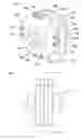 Fig. 02 - Pivoting vane pump/motor