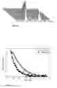 Fig. 03 - 13C-MR imaging or spectroscopy of cell death