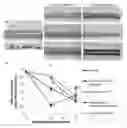 Fig. 01 - Methods of inhibiting photoreceptor apoptosis