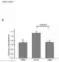 Fig. 22 - Methods of inhibiting photoreceptor apoptosis