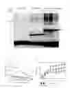 Fig. 04 - Surface expression vector for fusion protein of Myo-2 peptide multimer and myostatin, and microorganism transformed by thereof