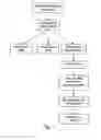 Fig. 02 - Method For Treating Wounds With Enriched Platelet Wound Healant